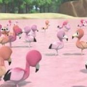 Foto ¡YooHoo al rescate!