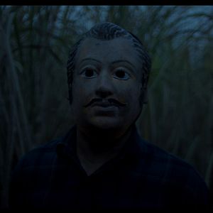 Foto Behind The Trees