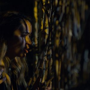 Foto Behind The Trees