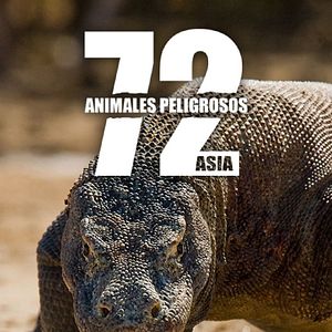 Foto 72 animales peligrosos: Asia