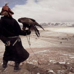 Foto 72 animales peligrosos: Asia