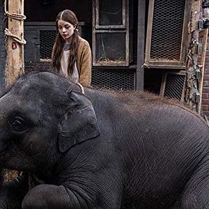 Foto Zoo Misión Elefante