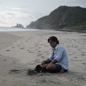 Foto Los días que no estuve