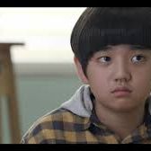 Foto When the Camellia Blooms