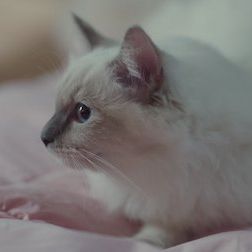 Foto Porque esta es mi primera vida