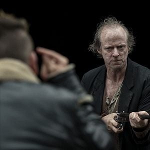 Foto Calm with horses