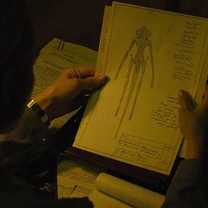 Foto Sputnik: Extraño pasajero