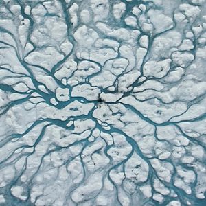 Foto David Attenborough: Una vida en nuestro planeta