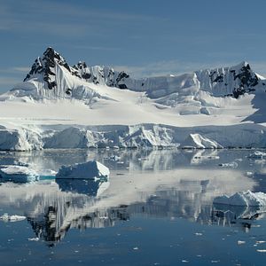 Foto David Attenborough: Una vida en nuestro planeta