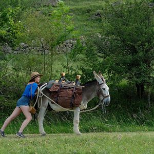 My Donkey, My Lover & I - Película 2020.mx