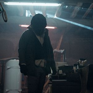 Foto Anonymous Animals