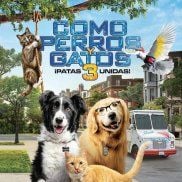 Foto Como perros y gatos 3: Patas unidas