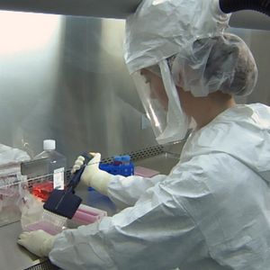 Foto Totally Under Control