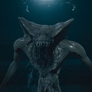 Foto Sputnik: Extraño pasajero