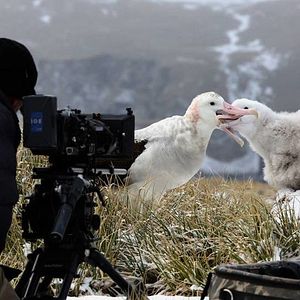 Foto Our Planet: Behind the Scenes