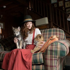 Foto The Wolf and the Lion