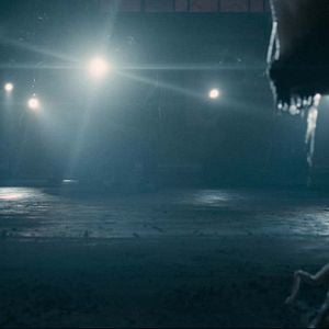 Foto Sputnik: Extraño pasajero