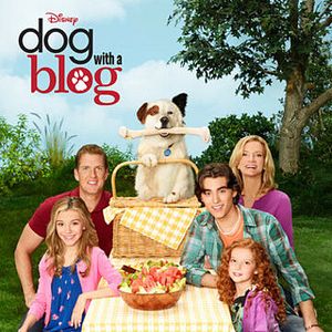 Foto Stan, el perro bloguero