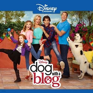 Foto Stan, el perro bloguero