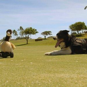 Foto Una vida de perros con Bill Farmer