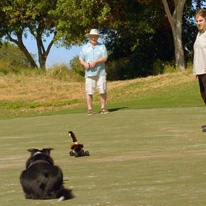 Foto Una vida de perros con Bill Farmer