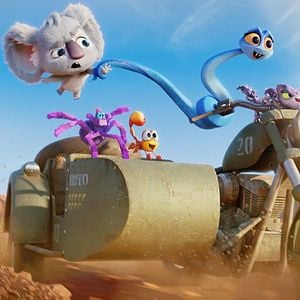 Foto Animalia en Australia