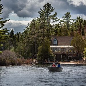 Foto The Wolf and the Lion