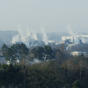 Foto Mr. Bachmann and His Class