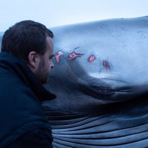 Foto Fra det vilde hav