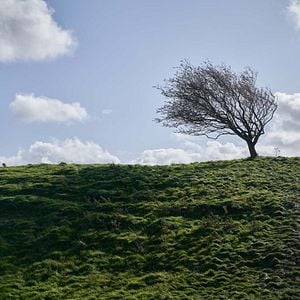 Foto Amor en las montañas