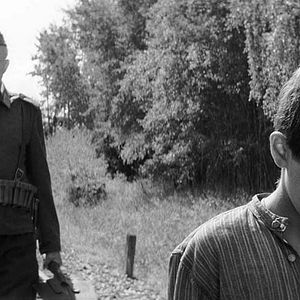 Foto The painted bird