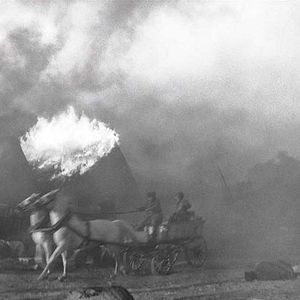 Foto The painted bird