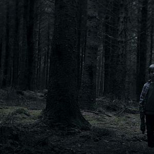 Foto El bosque maldito