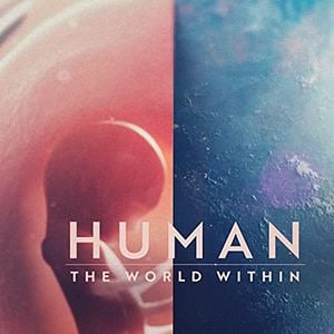 Foto Cuerpo Humano: Un mundo entrañable