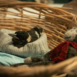 Foto Un milagro inesperado