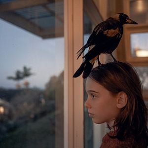 Foto Un milagro inesperado