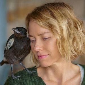 Foto Un milagro inesperado