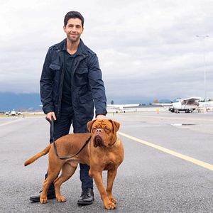 Foto Socios y sabuesos