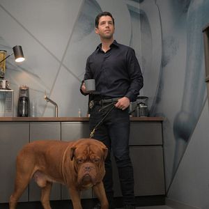 Foto Socios y sabuesos