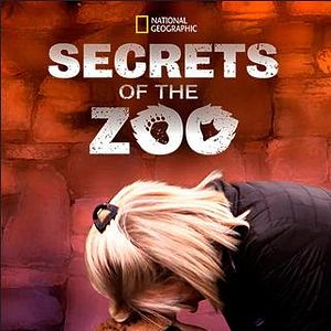 Foto Secretos veterinarios