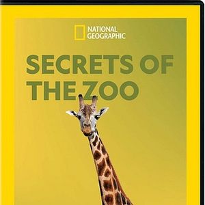 Foto Secretos veterinarios