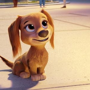 Foto Paw Patrol: La película