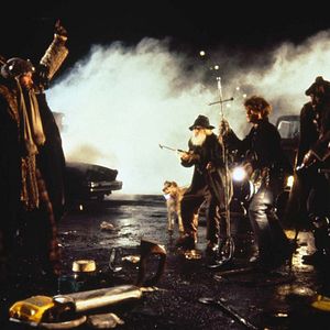 Foto El rey pescador