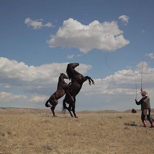 Foto Siempre quise ser cowboy