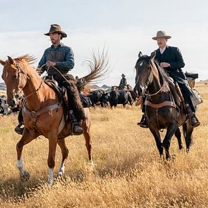 Foto El poder del perro