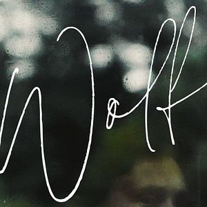 Foto Wolf