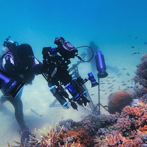 Foto Globo y las maravillas del arrecife