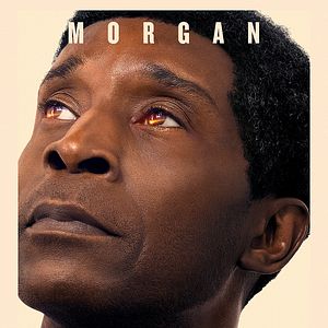 Foto No miren arriba