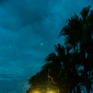 Foto Are You Lonesome Tonight?