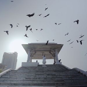 Foto Todo lo que respira